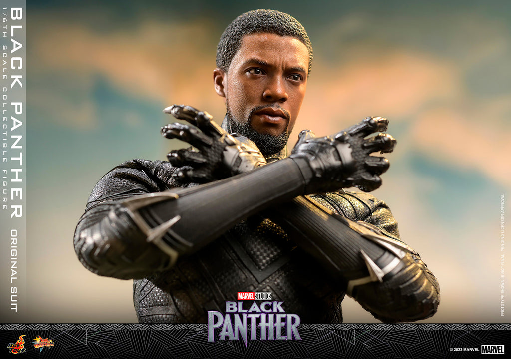 Black Panther Sixth Scale Figure by Hot Toys