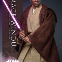 Hot Toys Mace Windu Sixth Scale Figure