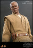 Hot Toys Mace Windu Sixth Scale Figure