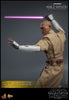 Hot Toys Mace Windu Sixth Scale Figure