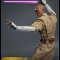 Hot Toys Mace Windu Sixth Scale Figure