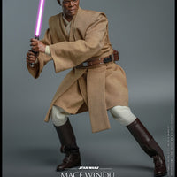 Hot Toys Mace Windu Sixth Scale Figure