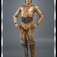 Hot Toys C-3PO Sixth Scale Figure